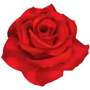 Red Roses - WASticker