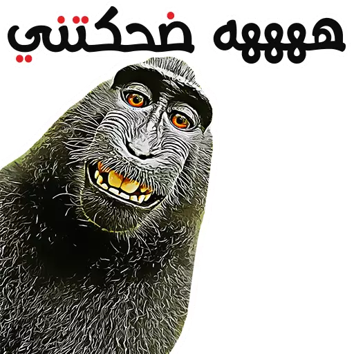Arabic Funny WhatsApp Stickers