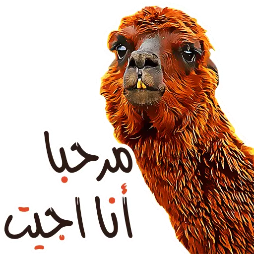 Arabic Funny WhatsApp Stickers