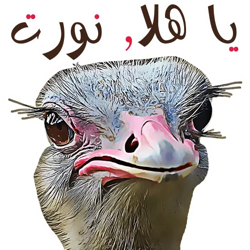 Arabic Funny WhatsApp Stickers