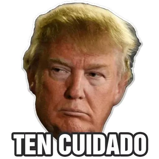 Trump Meme sticker