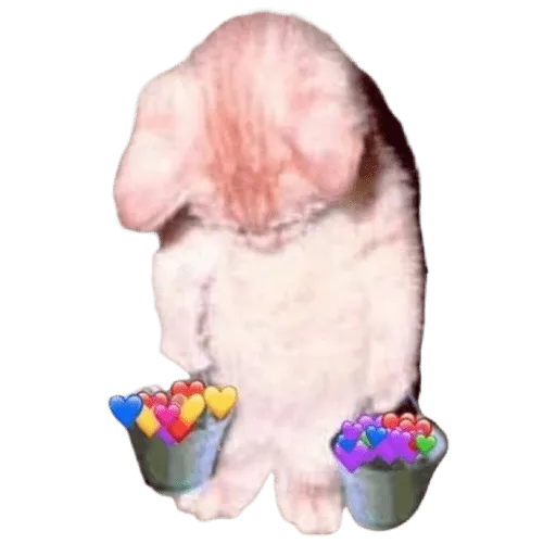 Solo amor WhatsApp Stickers