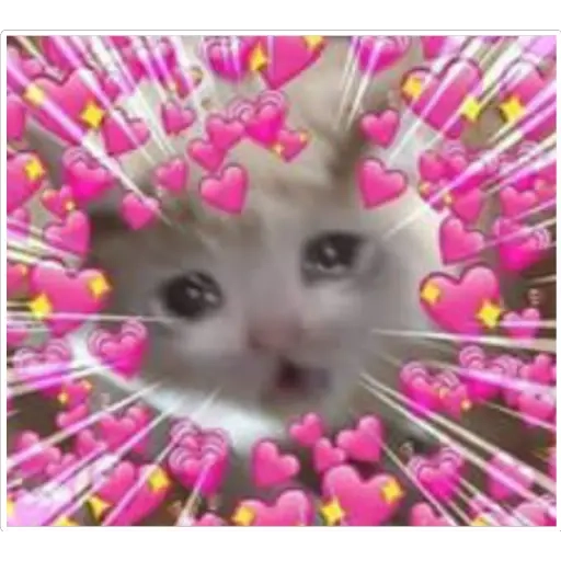 gatitos heart WhatsApp Stickers