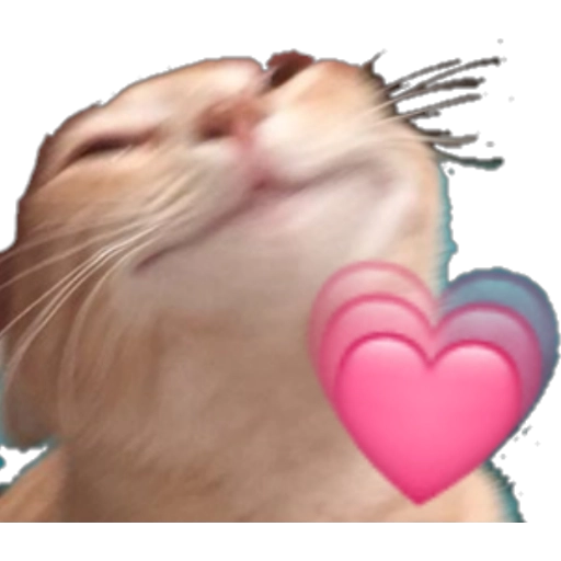 gatitos heart WhatsApp Stickers