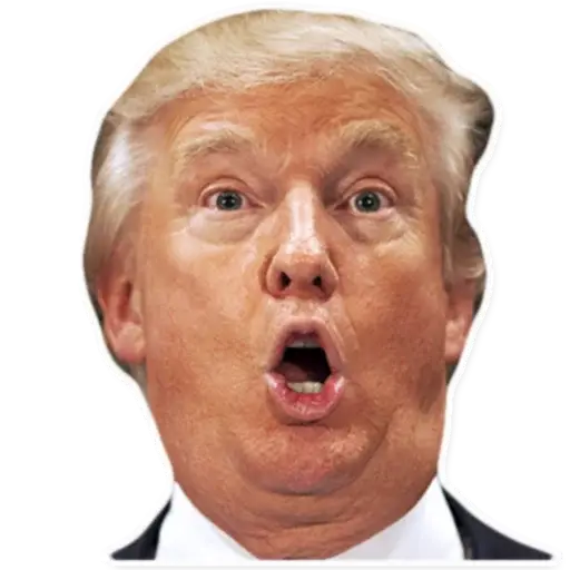 Donald Trump sticker