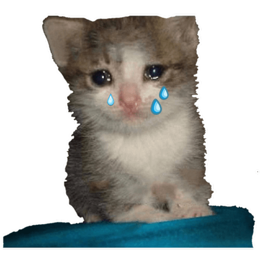 gatitos tristes Stickers for WhatsApp