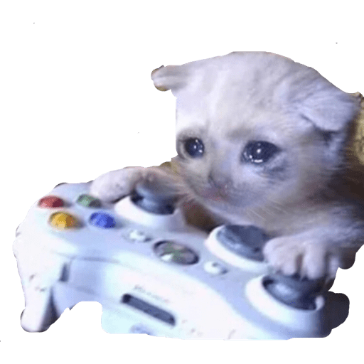 gatitos tristes WhatsApp Stickers