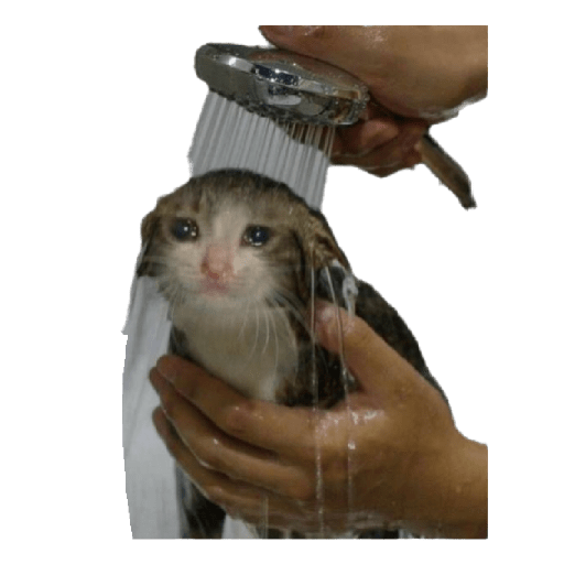 gatitos tristes WhatsApp Stickers