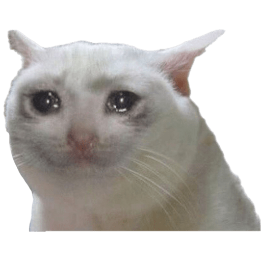 gatitos tristes WhatsApp Stickers