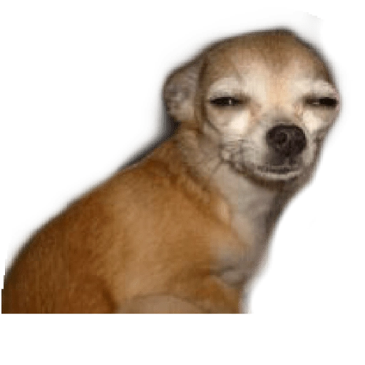 ☆Funny pets☆ WhatsApp Stickers