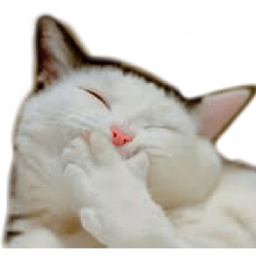☆Funny pets☆ WhatsApp Stickers