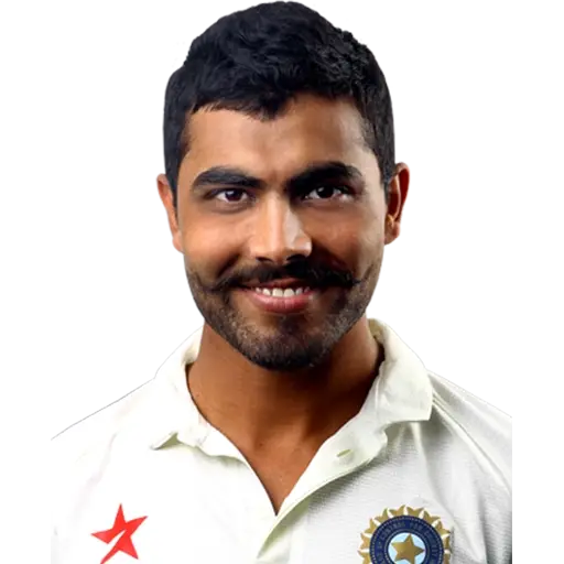 Indian Cricket Team sticker