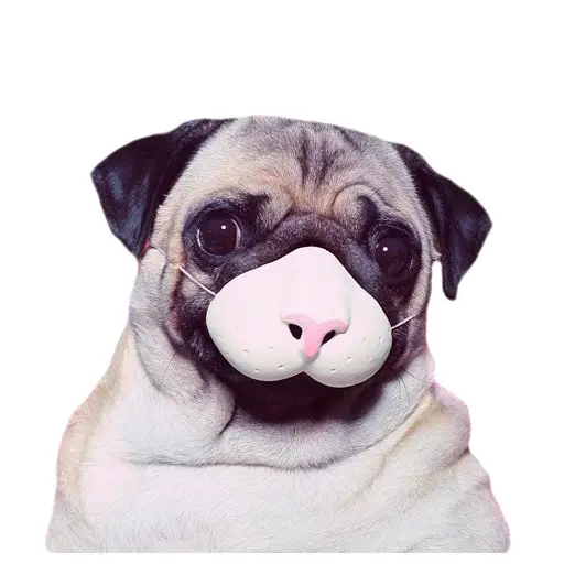 Meet The Pugs sticker