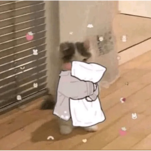 Gatos Cura Depresión💕🙀 WhatsApp Stickers