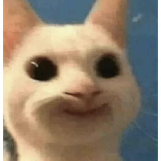 Gatos Cura Depresión💕🙀 WhatsApp Stickers