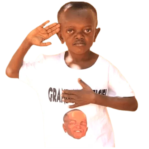 Memes Vol 7 WhatsApp Stickers