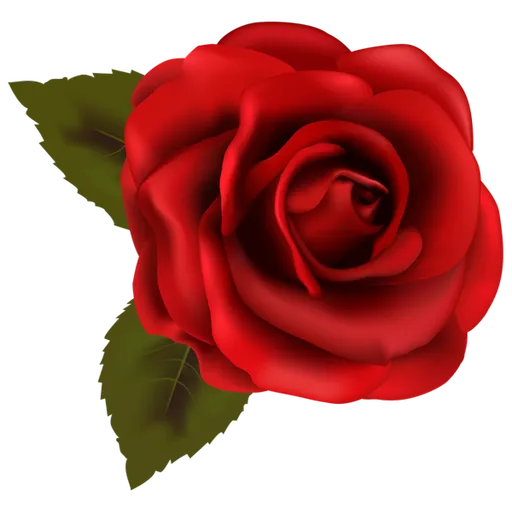 Red Roses sticker