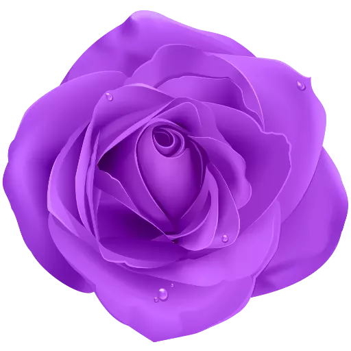 Purple Roses sticker