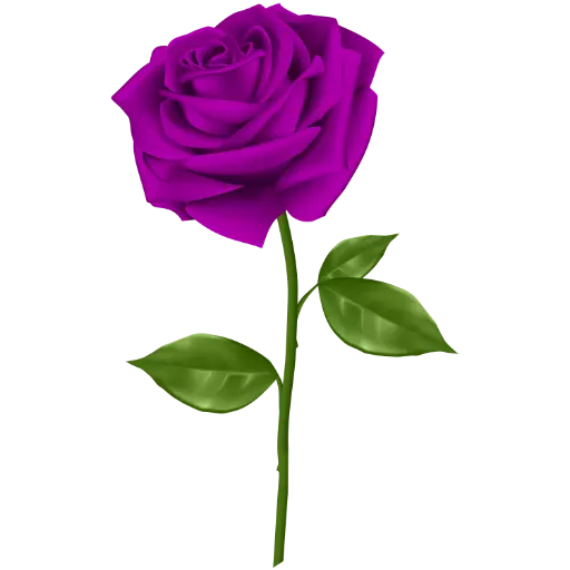 Purple Roses sticker