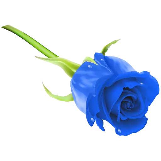 Blue Roses sticker