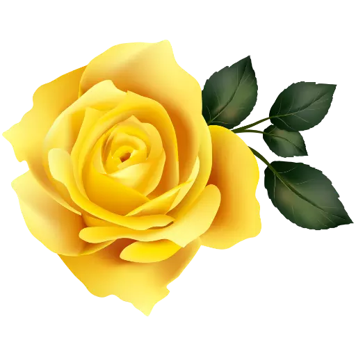Yellow Roses sticker