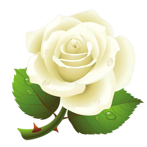 White Roses sticker