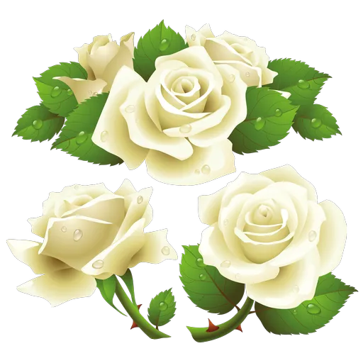 White Roses sticker